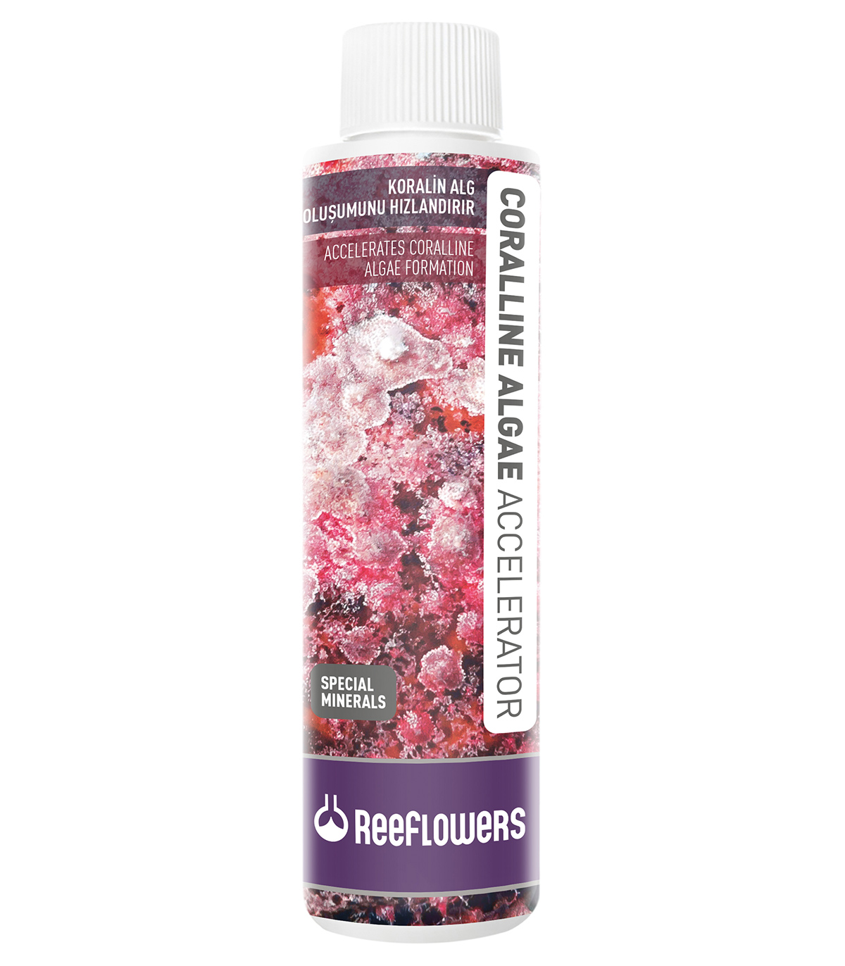 Coralline algae accelerator