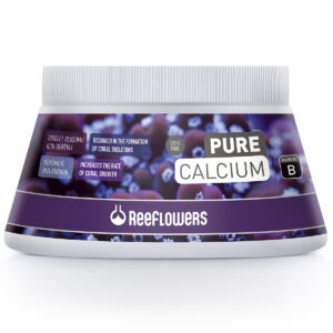 Pure Calcium – B