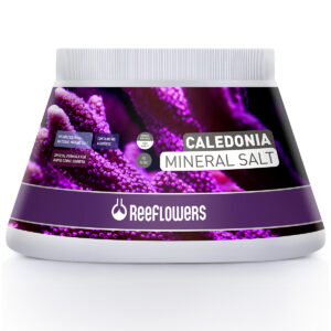 Mineral Salt – D