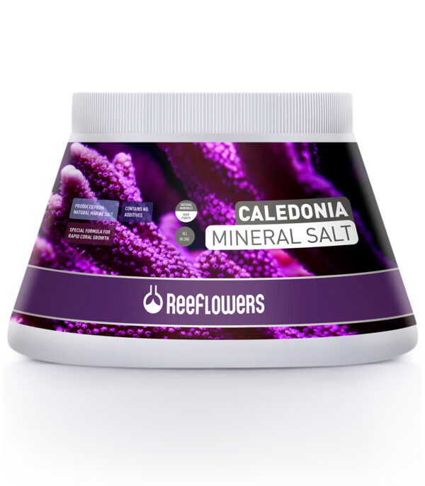 Reeflowers Caledonia Mineral Salt