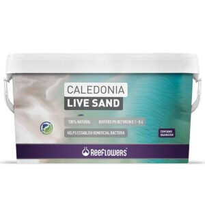 Caledonia Live Sand